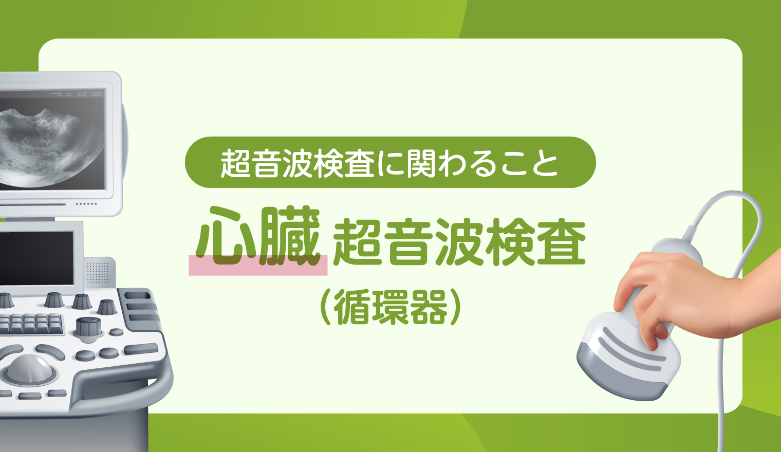 【超音波検査に関わること】心臓 超音波検査