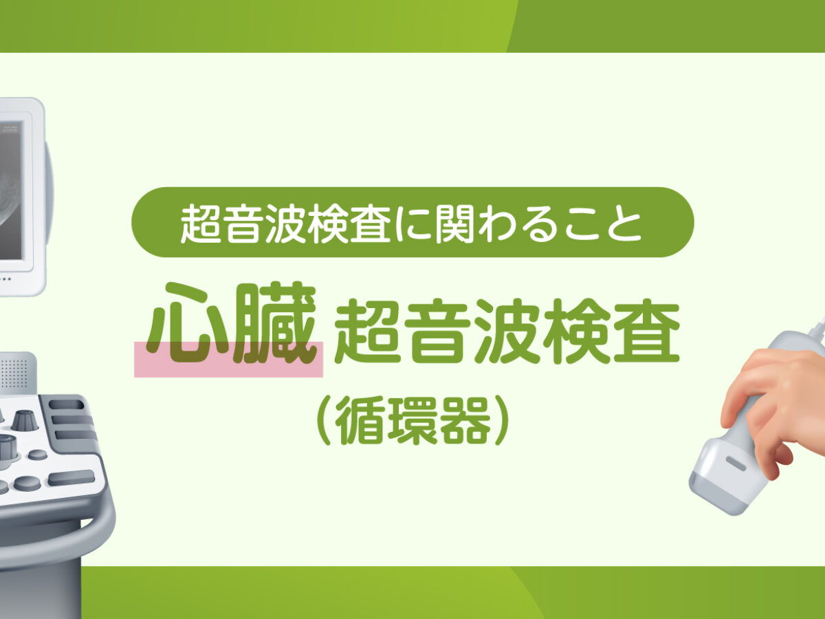 超音波検査に関わること】心臓 超音波検査 | 市民の皆さまへ