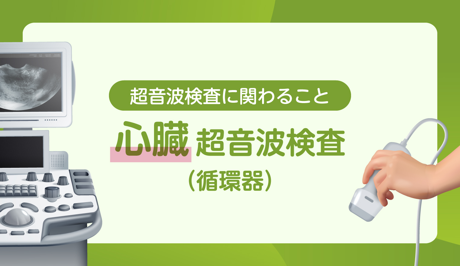 【超音波検査に関わること】心臓 超音波検査