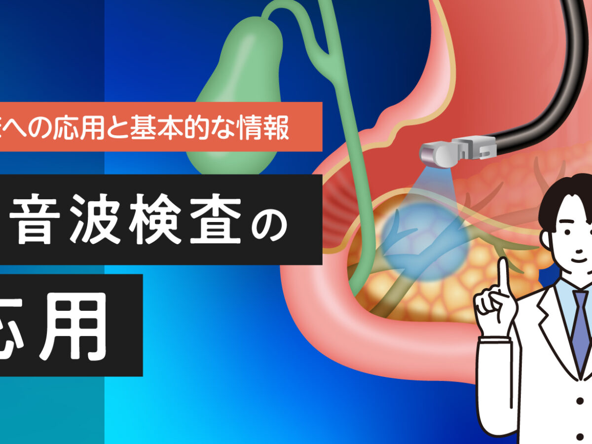 臨床への応用と基本的な情報】超音波検査の応用 | 市民の皆さまへ