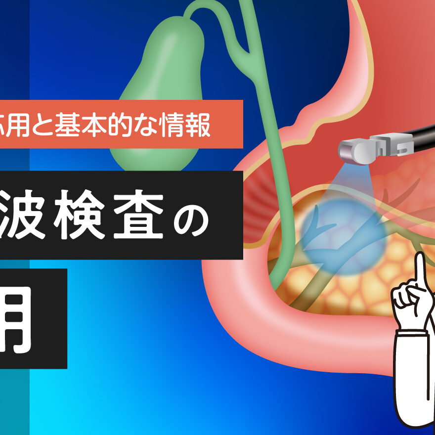 臨床への応用と基本的な情報】超音波検査の応用 | 市民の皆さまへ