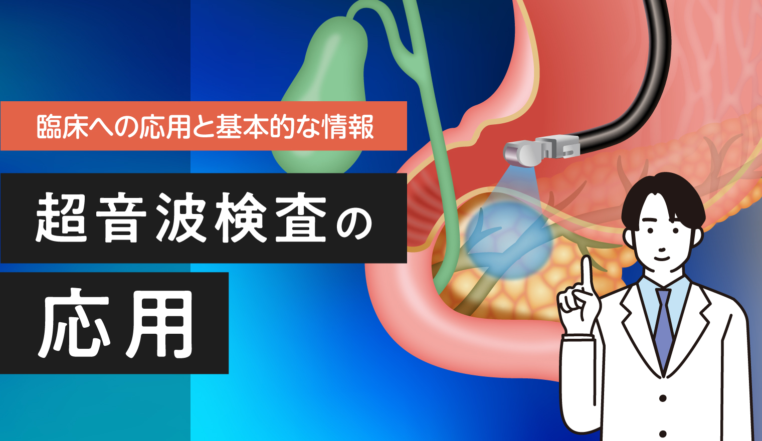 【臨床への応用と基本的な情報】超音波検査の応用