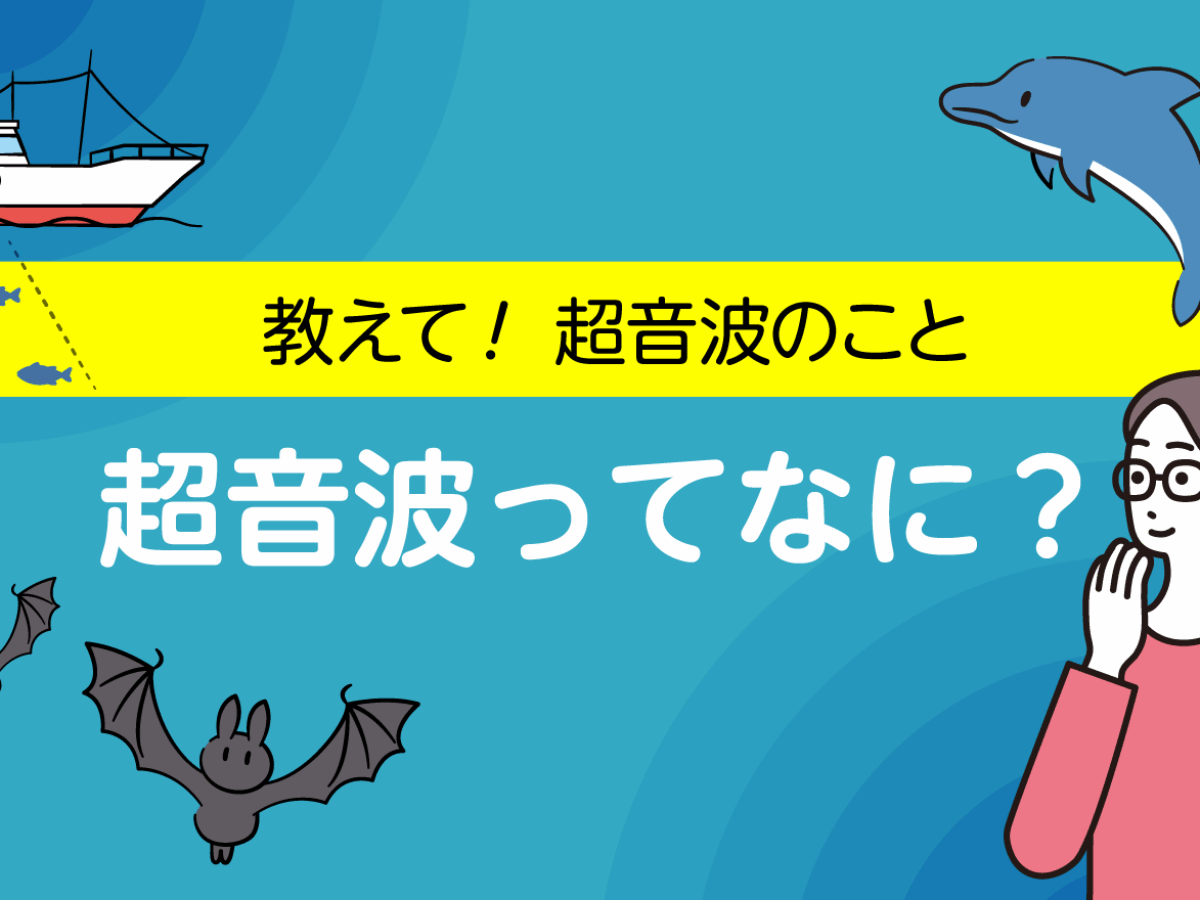 教えて！超音波のこと】超音波ってなに？ | 市民の皆さまへ | 日本超 