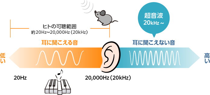 【教えて!超音波のこと】超音波ってなに?