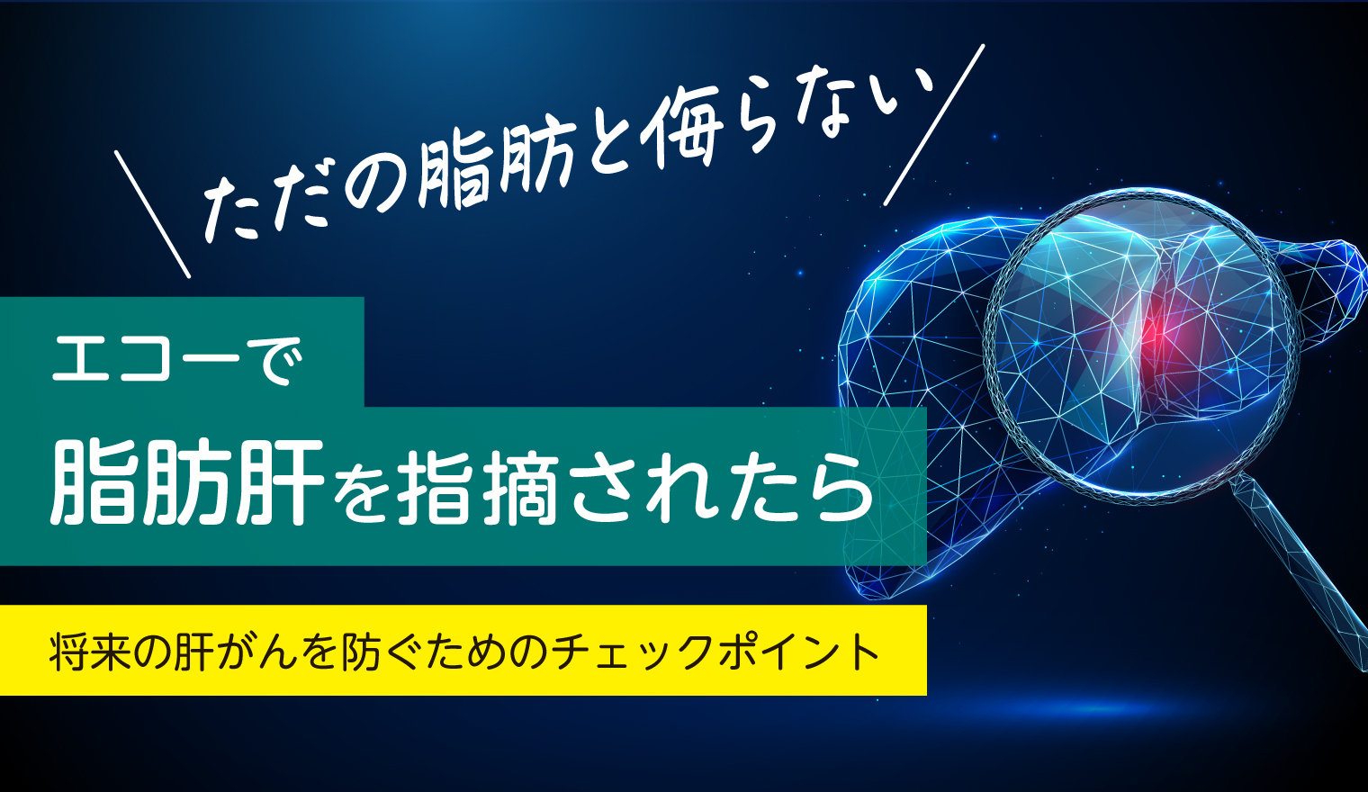 エコーで脂肪肝を指摘されたら