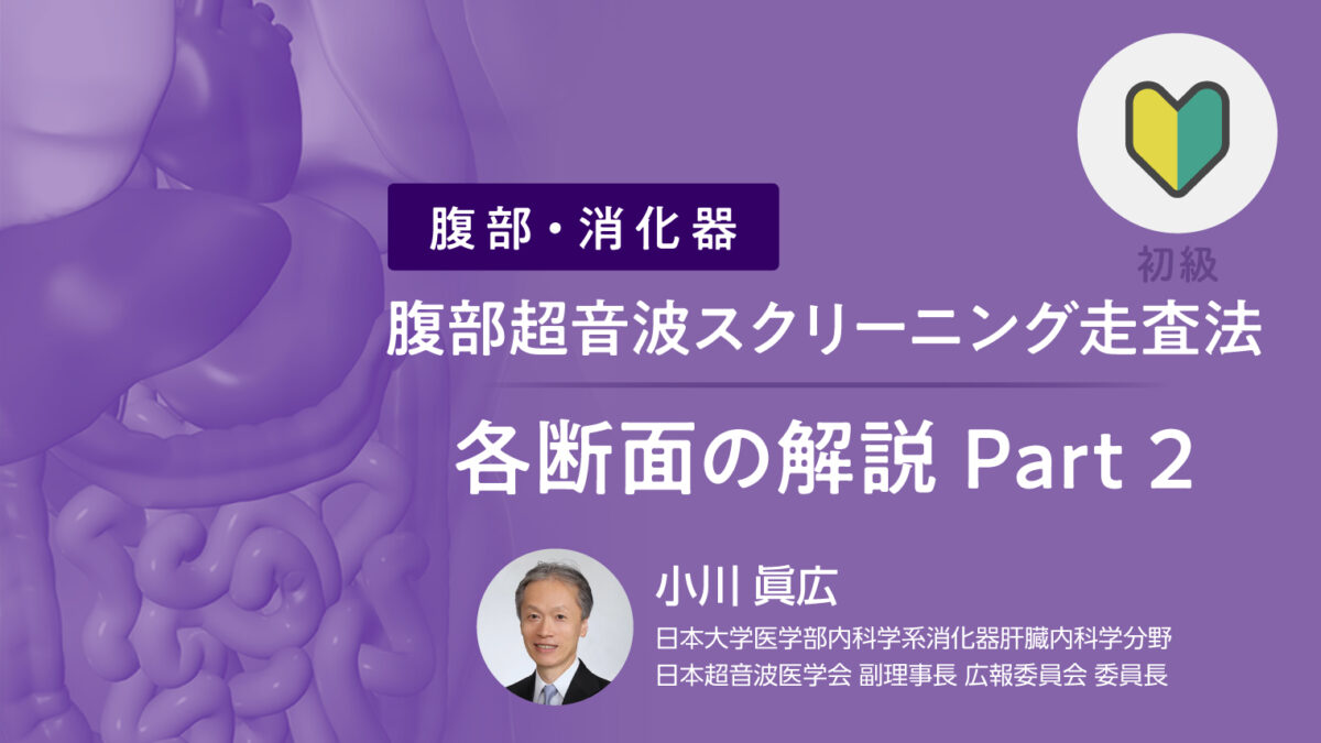 超音波診断要覧 ５/東海大学出版部/東海大学病院（単行本） 超音波診断要覧 5 心臓編 | 東海大学病院超音波検査室 |本